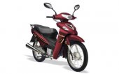 2008 Izuka K110 photo